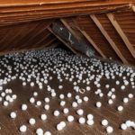 Attic mouse removal and insulation cleanup in Phoenix, Dallas, and USA - Professional rodent extermination services to eliminate mice from attic insulation and restore safe air quality
