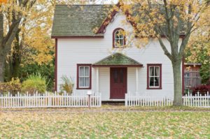 The Legal Landscape of Rodent Control: What Homeowners Need to Know